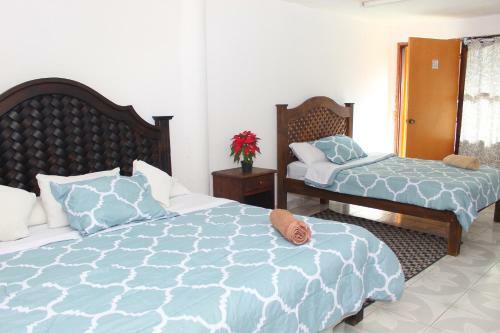 Hotel Panda Viajero
