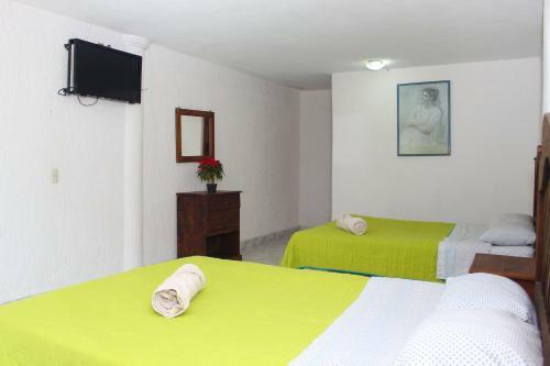 Hotel Panda Viajero