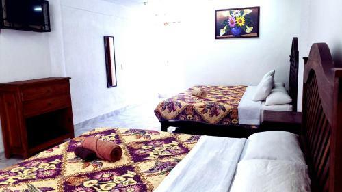 Hotel Panda Viajero