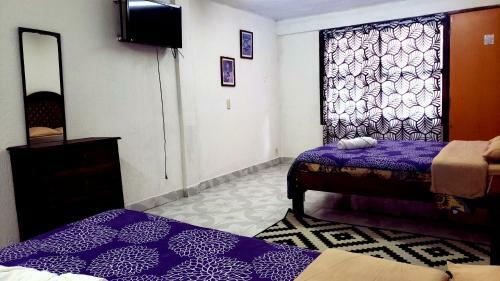 Hotel Panda Viajero