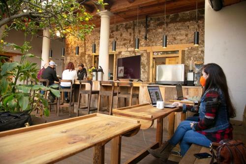 The Coffee Bean Hostel