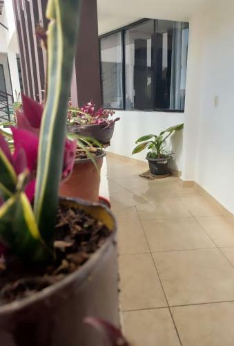 Hotel Casa Anxel