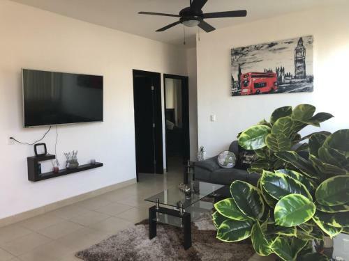 Playa Suites Apartment