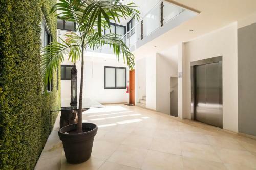 Apartamento Dream Condo Between Beach And 5ta
