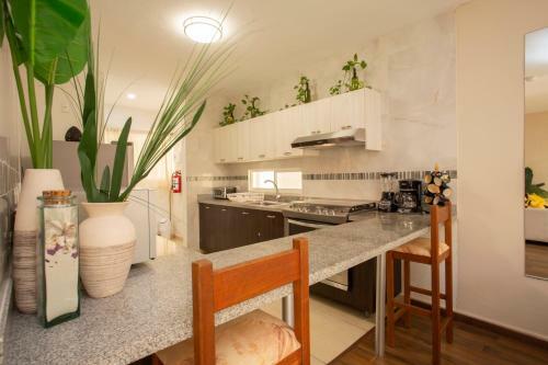 Jacuzzi Home, Holidays