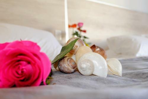 Apartamento Kuyaan Coral Suites