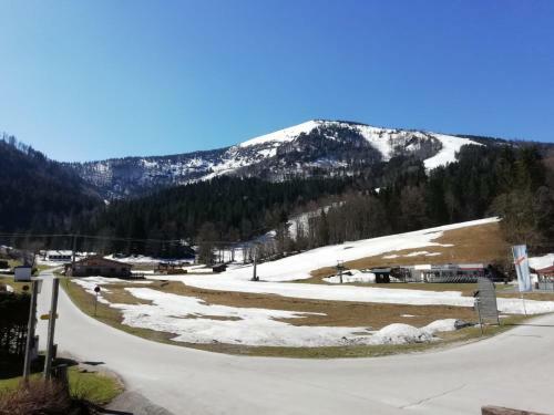 Apartamento Ferienwohnung Bergerlebnis �tscher