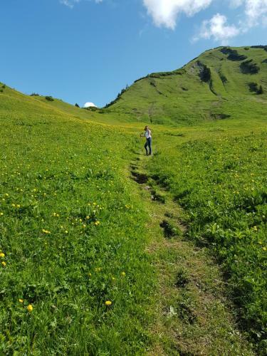 Apartamento Residenz Tirol