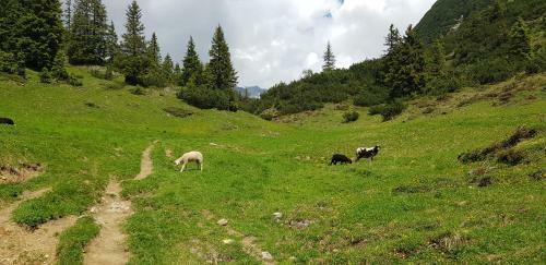 Apartamento Residenz Tirol