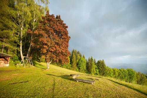 Apartamento Ferienhaus Weissegger