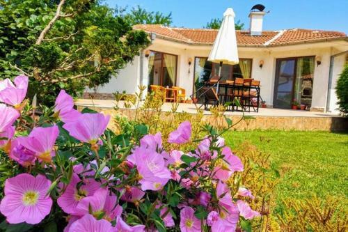 Villa Guesthouse Oasis-shabla