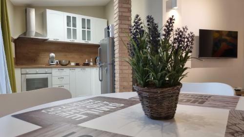 Old Town City Center Apartment
