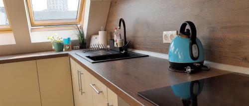 Sky Blue Danube Apartment Ruse