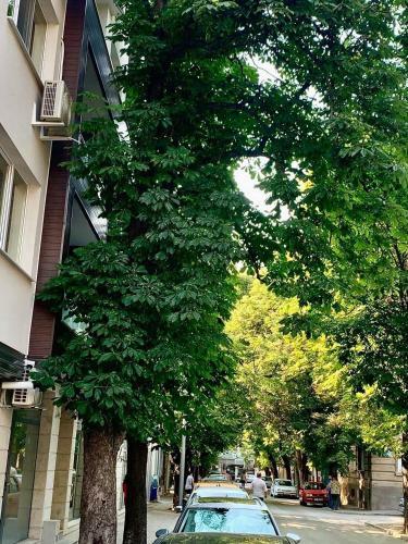 Apartamento Comfort Deluxe Flat