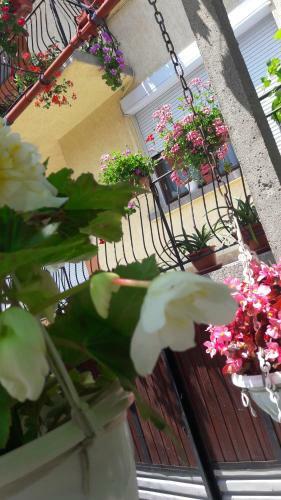 Hostal Guest House Ider