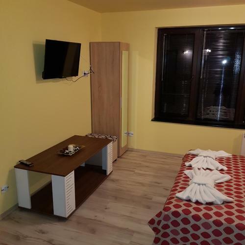 Hostal Guest House Ileana