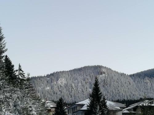 IV Apartment Inthe Wonderful Rhodope Mountain