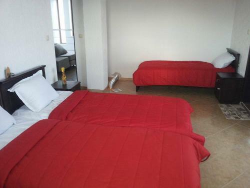 Hostal Pirin Private Houses