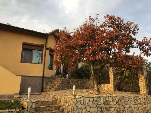 Sunshine Villa Dzhigurovo