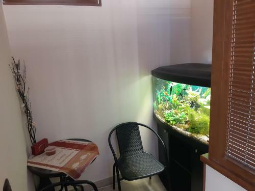 Apartamento Bulgaria