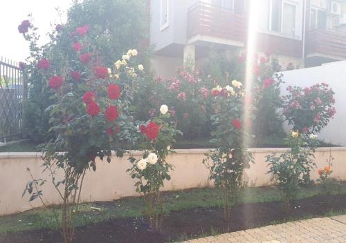 Family Apartment Sozopol Hills