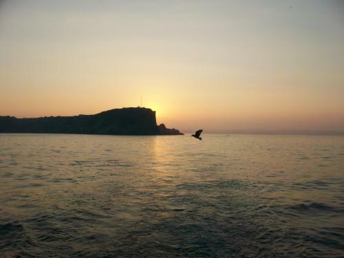 Bed & Breakfast Trentham Guest House