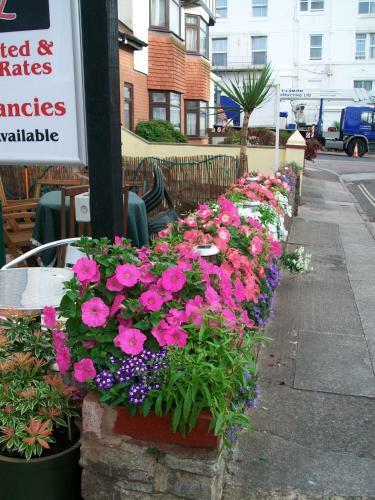 Bed & Breakfast Trentham Guest House