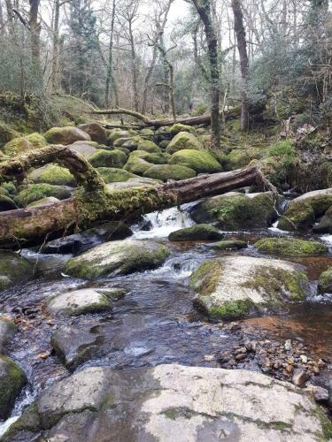 Bed & Breakfast Trentham Guest House