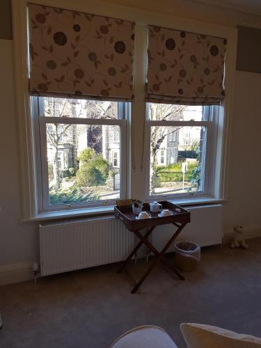 Hostal Baytree House