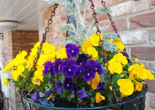 Marlborough House Hotel - B&B