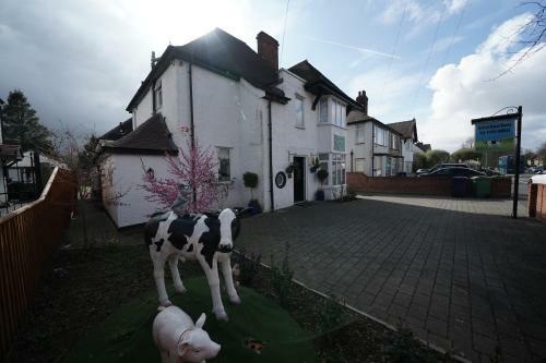 Hostal Oxford Guest House