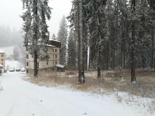Apartamento Evrika Forest