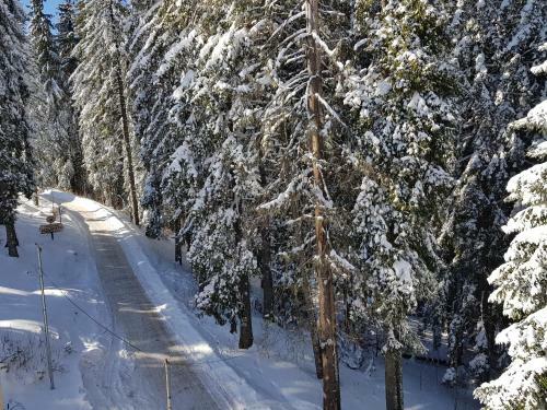 Apartamento ?????????? Pamporovo Palace