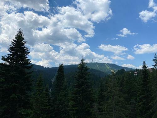 Panoramic Mountain View Apartment In Pine Hills Pamporovo