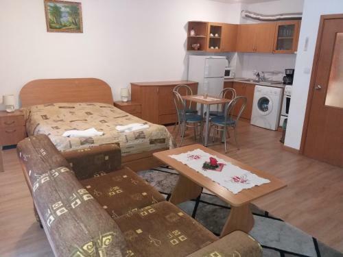 Apartamento Studio In Hotel Laplandia