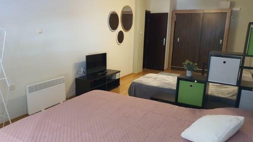 Ernik Pamporovo Apartment