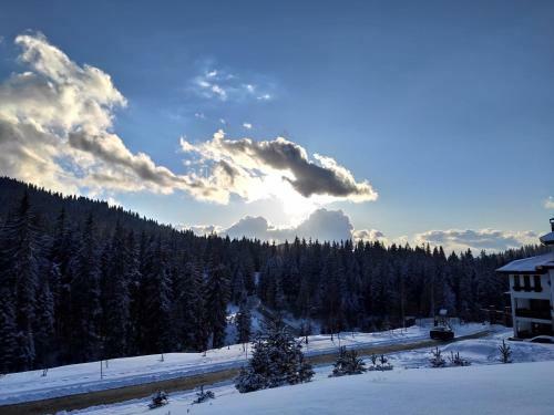 Forest Dream Apartment - Elit Pamporovo