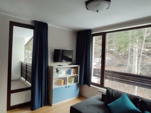 Forest Dream Apartment - Elit Pamporovo