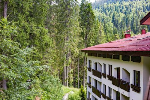 Forest Dream Apartment - Elit Pamporovo