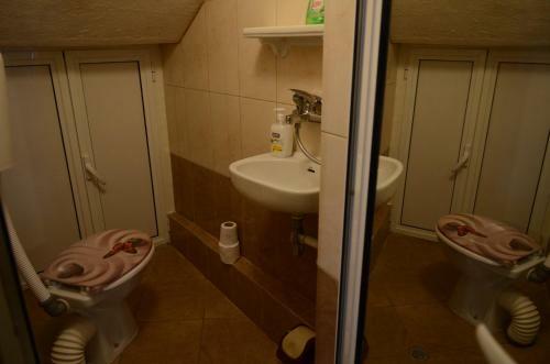 Apartamento Cute Studio