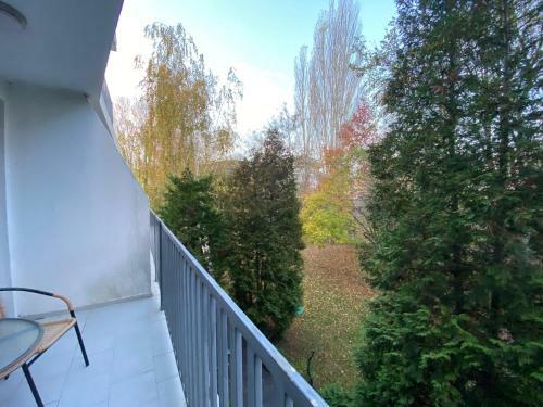 Apartamento Cozy Studio In Sapphire