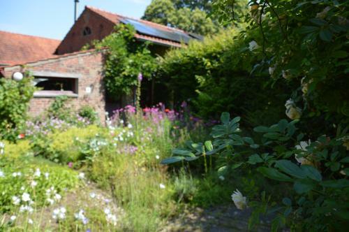 Bed & Breakfast Miekes Boesj