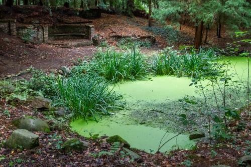 Amsterdamgarden - Nardinclant - Laren NH