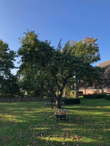 Bed & Breakfast B And Be Happy Friesland