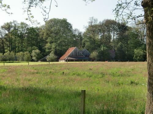 Bed & Breakfast 't Buitenverblijf Erve Punte