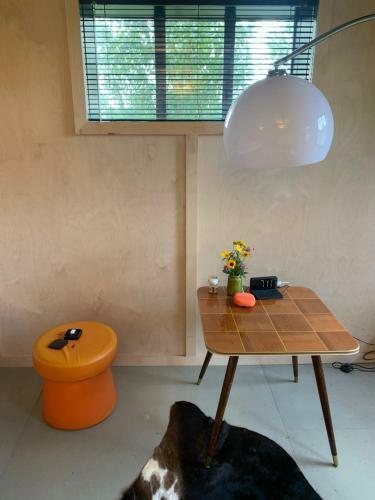 Bed & Breakfast Het Lage Noorden