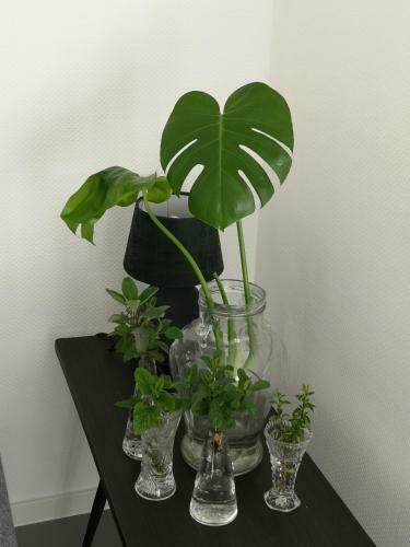 Apartamento Het Nijhuisje