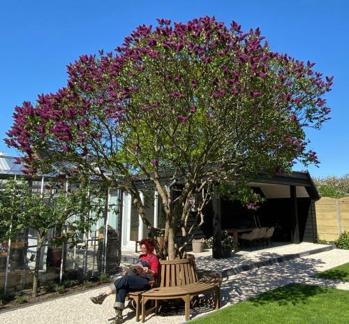 B&B Bij Tante Teun