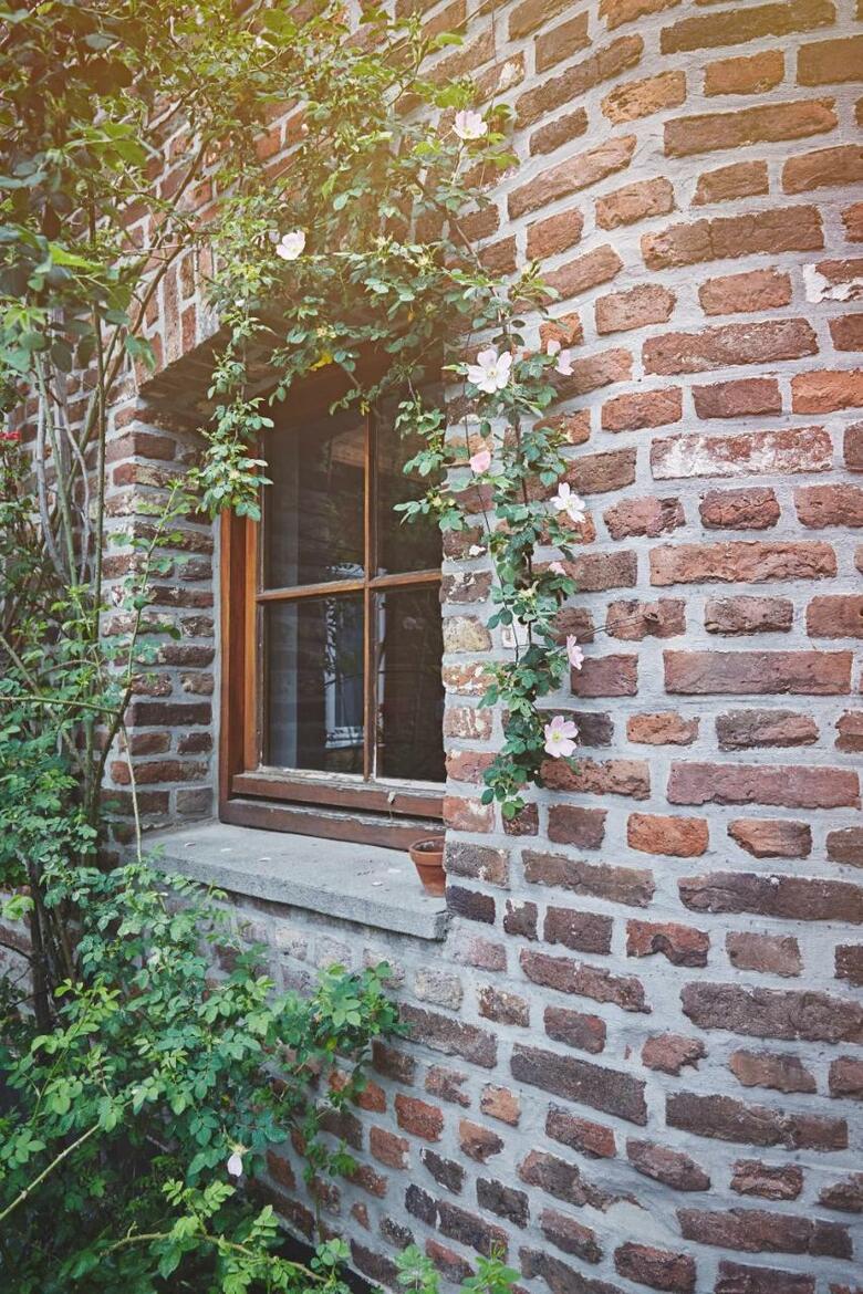 Bed & Breakfast Hollacachet