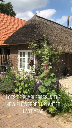 Apartamento Het Bijhuisje